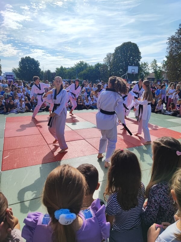 Olimpijski dan - slika broj: 4